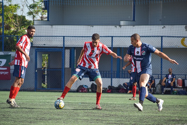 森的特点相 森的特点相