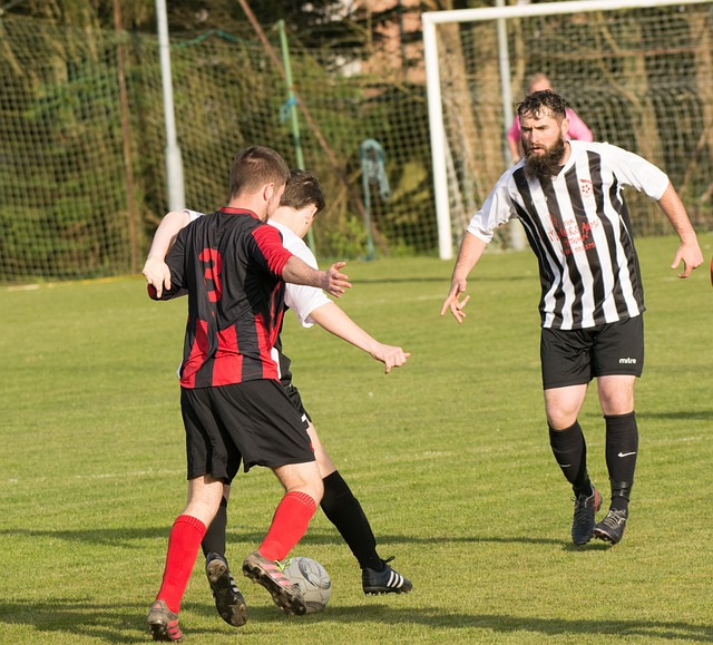 而中國的青 而中國的青