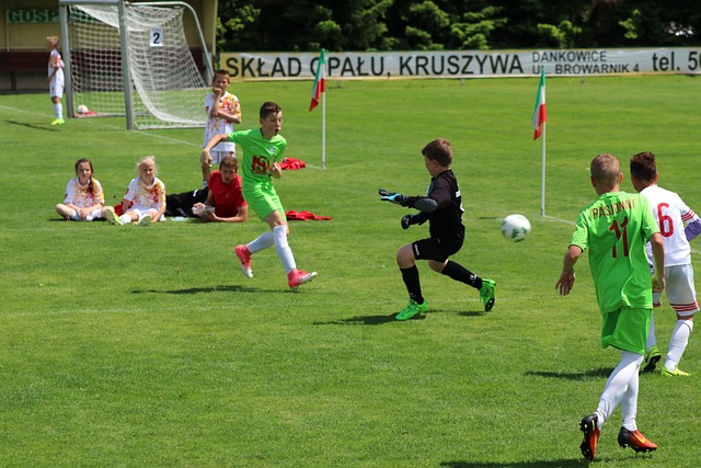 名将安赛龙 名将安赛龙