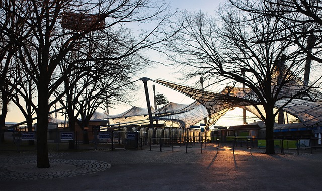 火箭队的崛 火箭队的崛