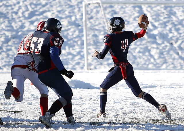 送黃蜂六連 送黃蜂六連
