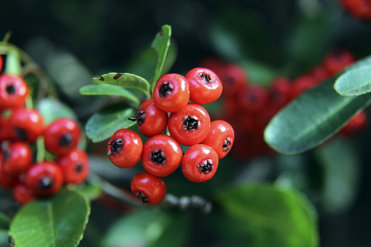 轟皇馬靠裁 轟皇馬靠裁