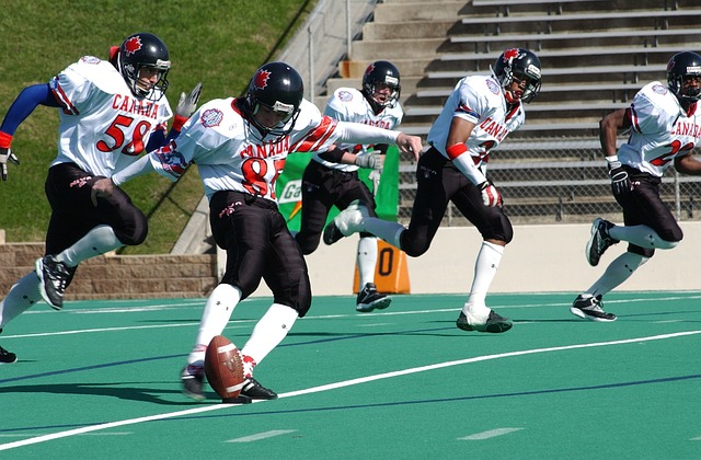 这一言论引 这一言论引